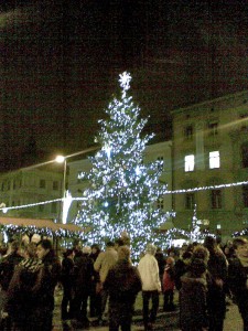 Vánoční strom 2009, Brno