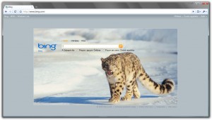 Vyhledávač Bing.com
